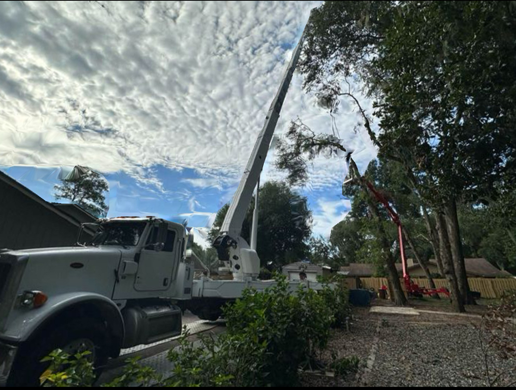 Large log being removed from stump