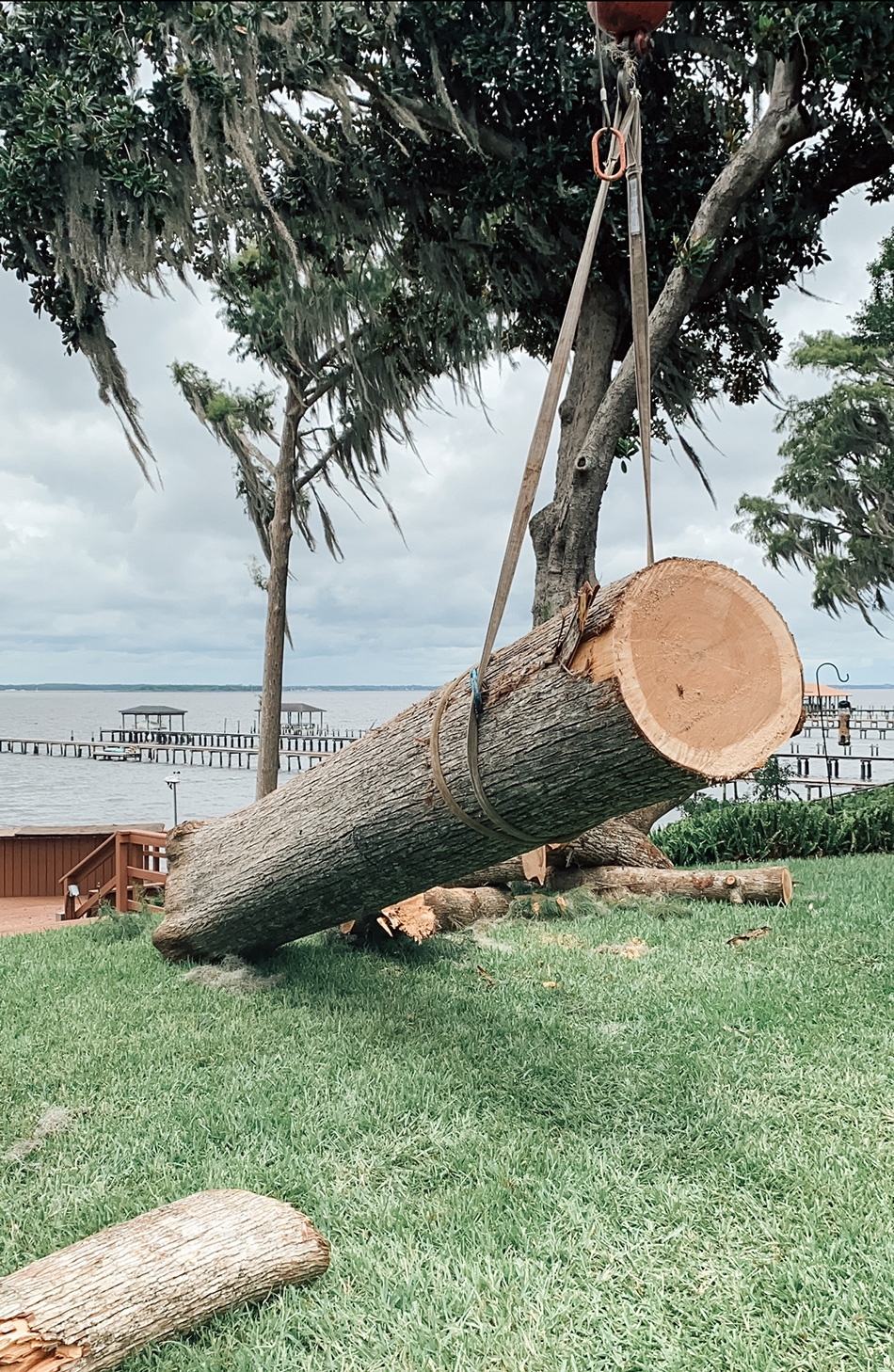 Large log being removed from stump